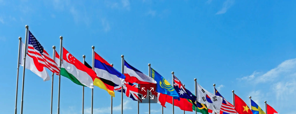 Picture of Flags of Rowing